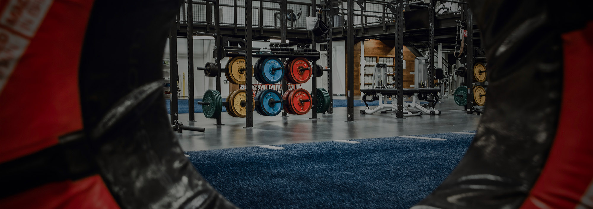 gym